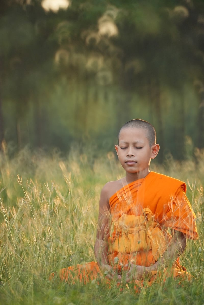 Hatha Yoga Pose